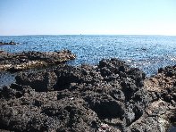 pomulini-20110311 230